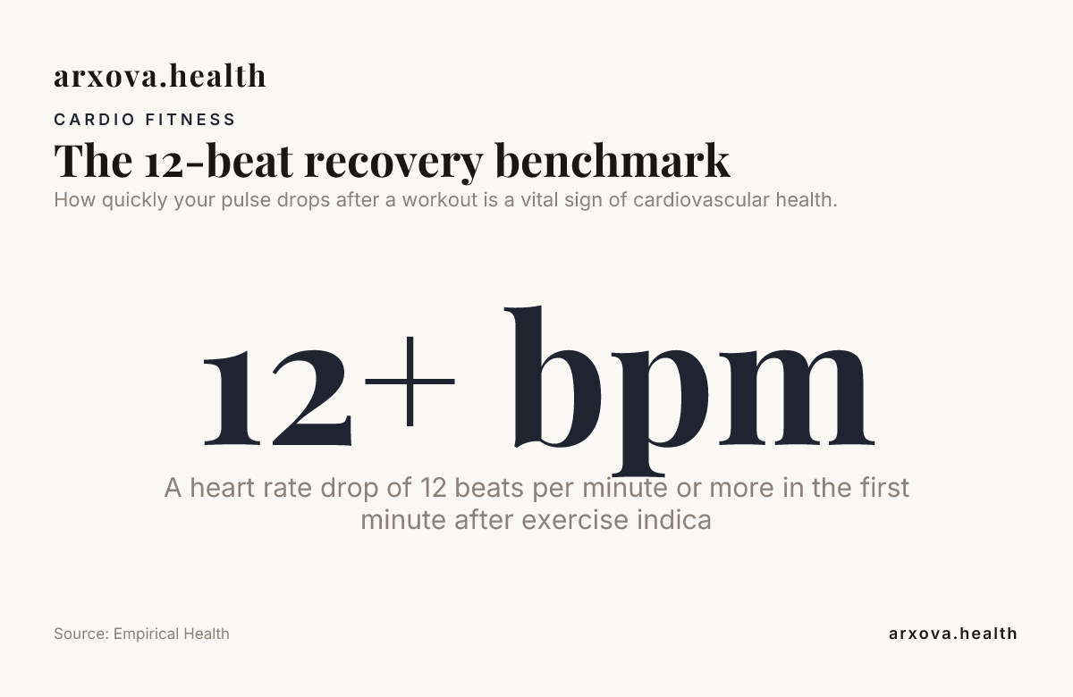 The 12-beat recovery benchmark: a heart rate drop of 12 bpm or more in the first minute after exercise